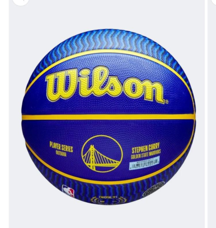 Wilson Basketball
