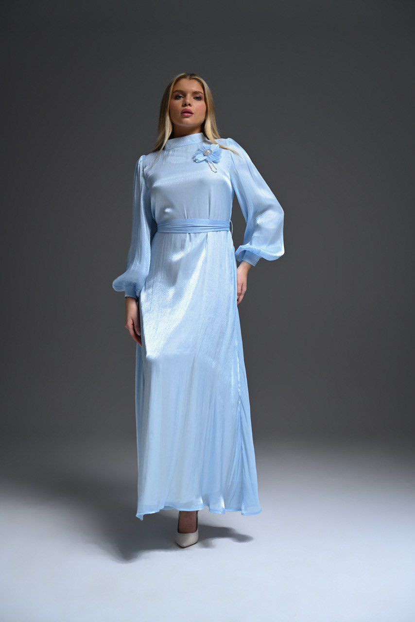 Elegant Fashionable Dress