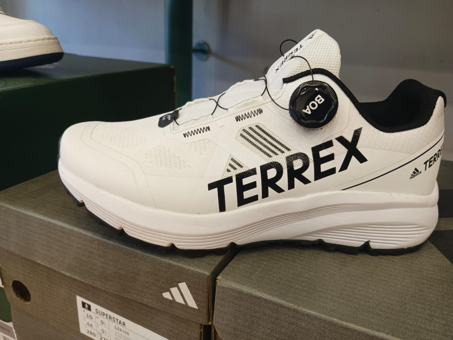 Adidas Terrex shoes